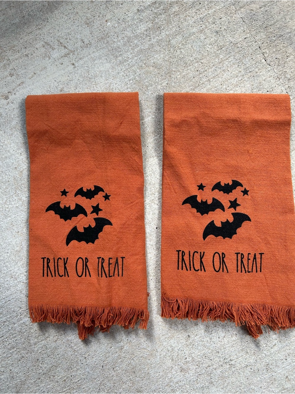 Rae Dunn Decorated Halloween Kitchen Towels